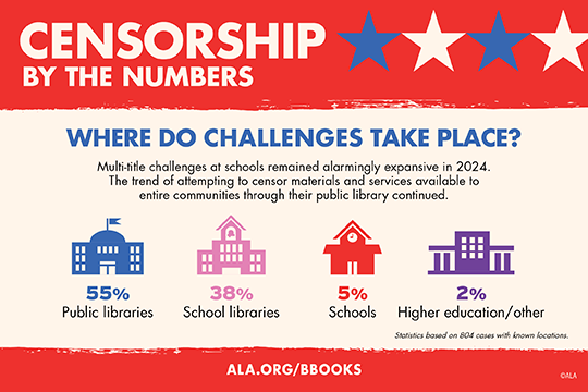 WHERE DO CHALLENGES TAKE PLACE? 55% Public libraries 5% Schools 2% Higher education/other
